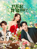 对不起，我磕到你了海报